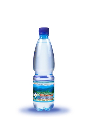 Питьевая негазированная вода Шаянская родниковая 0,5л